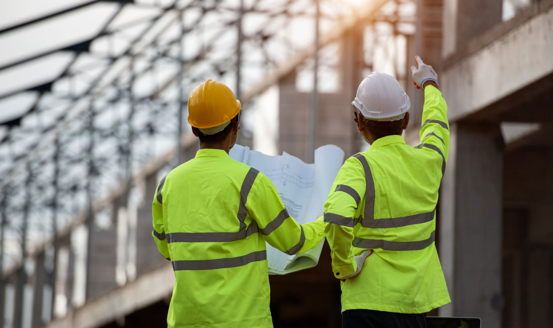 Header background graphic