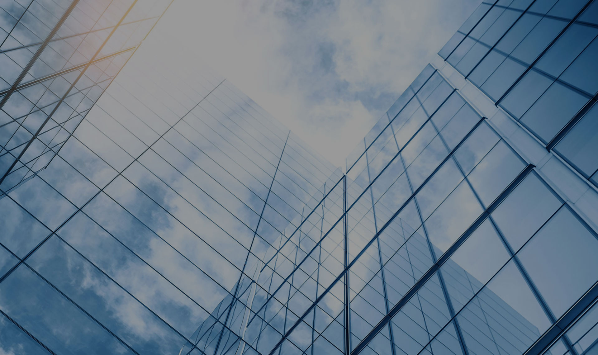 Header background graphic