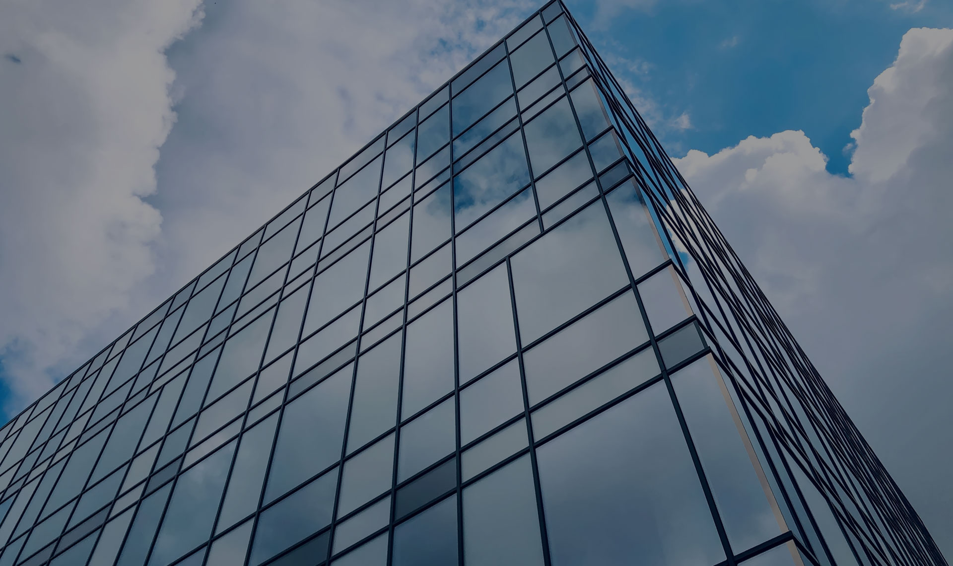 Header background graphic