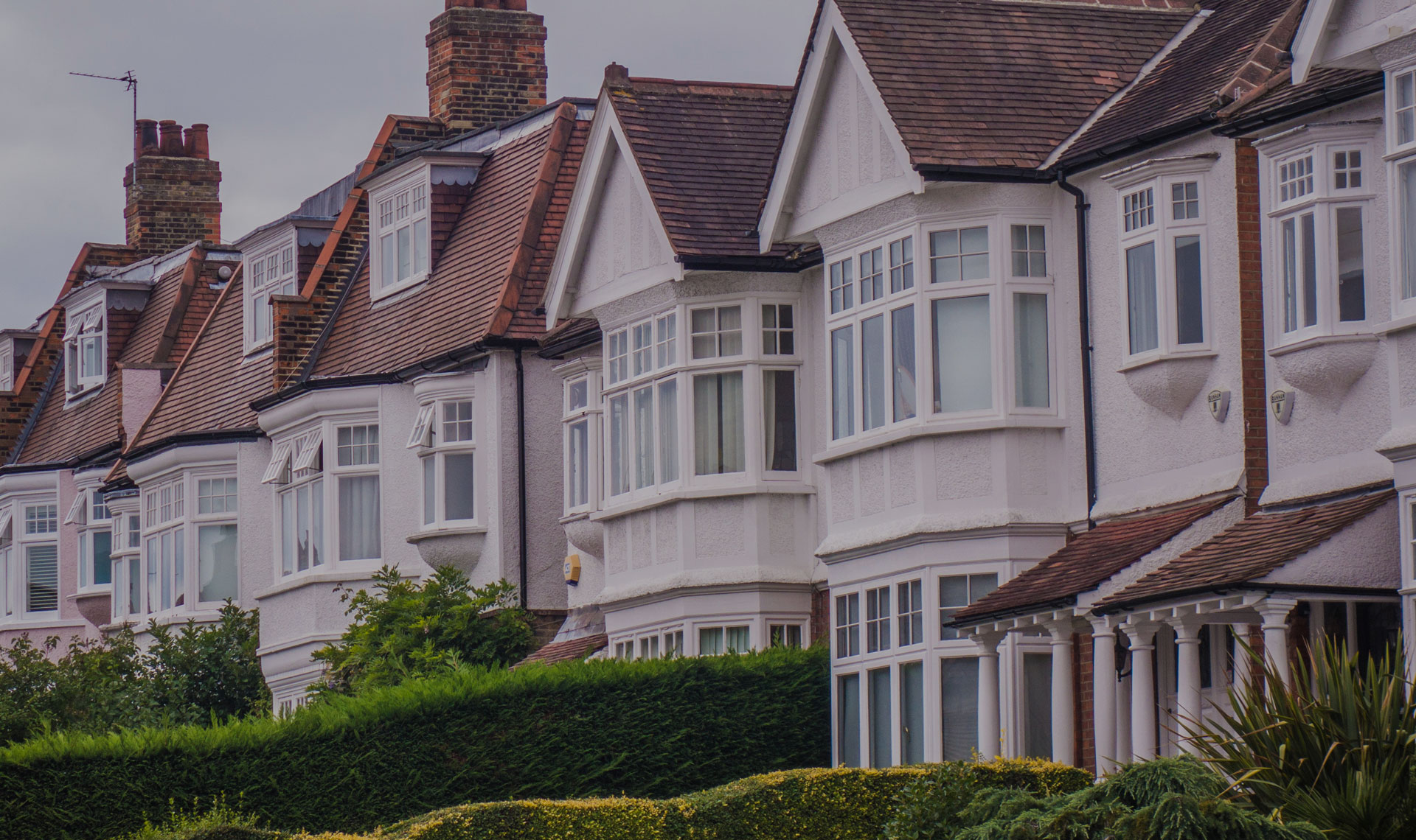 Header background graphic