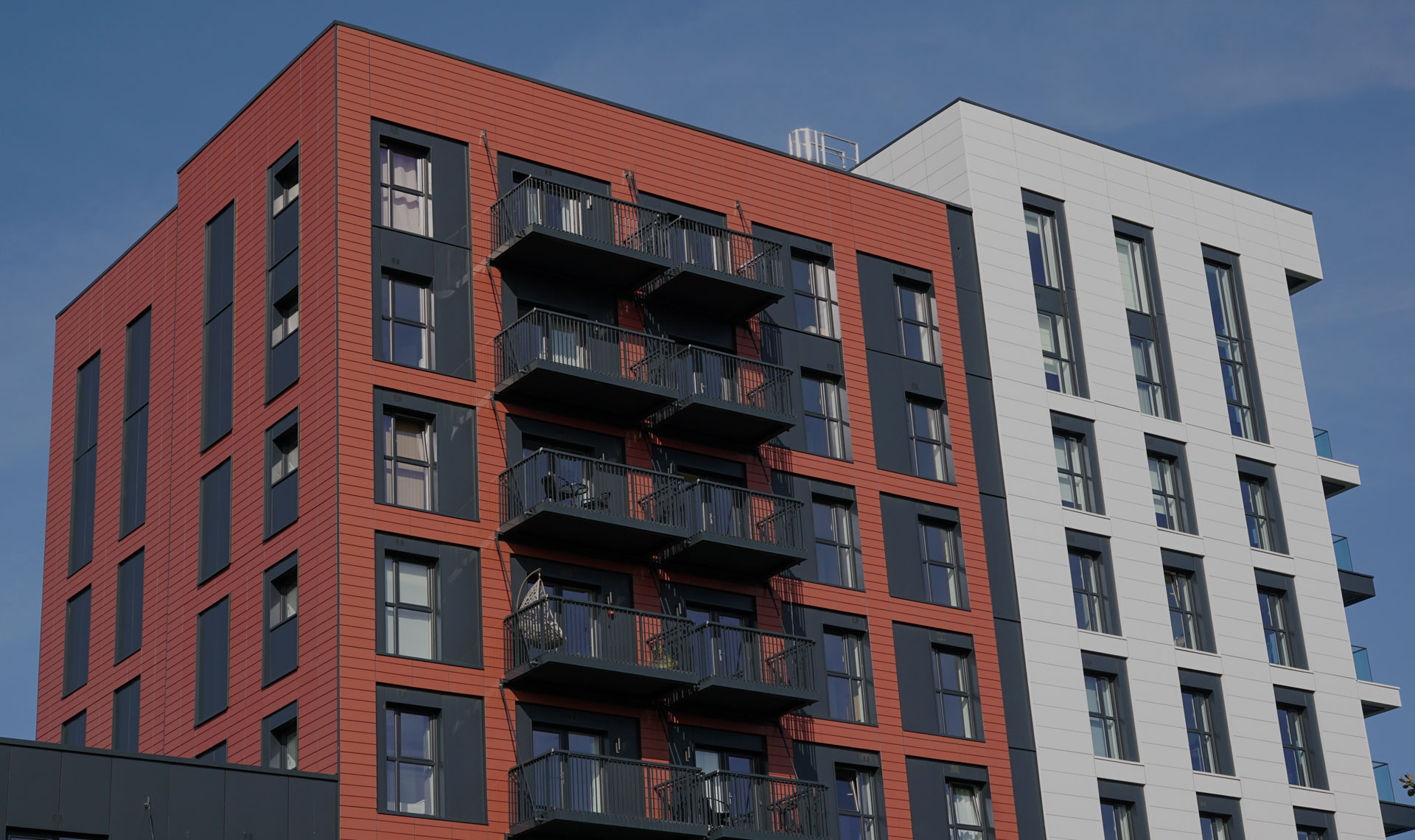 Header background graphic